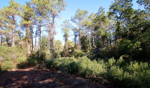 Photo #46 of Off Dunbar Canal Rd - Lot #44, Currituck, NC 60.0 acres