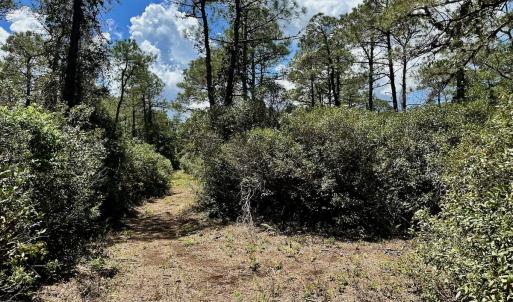 Photo #48 of SOLD property in Off Dunbar Canal Rd - Lot #44, Currituck, NC 60.0 acres