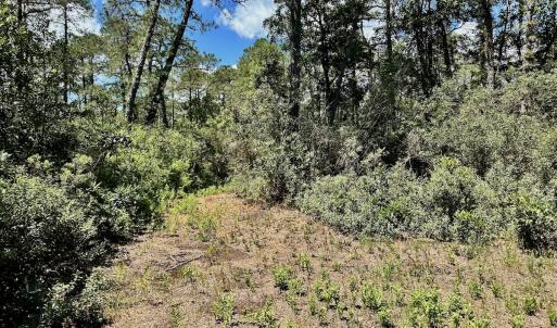 Photo #50 of Off Dunbar Canal Rd - Lot #44, Currituck, NC 60.0 acres