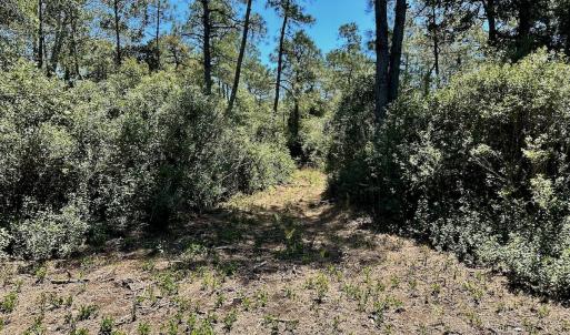 Photo #51 of Off Dunbar Canal Rd - Lot #44, Currituck, NC 60.0 acres