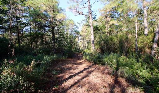 Photo #53 of Off Dunbar Canal Rd - Lot #44, Currituck, NC 60.0 acres