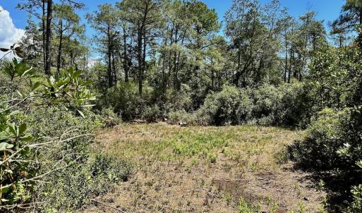 Photo #56 of Off Dunbar Canal Rd - Lot #44, Currituck, NC 60.0 acres