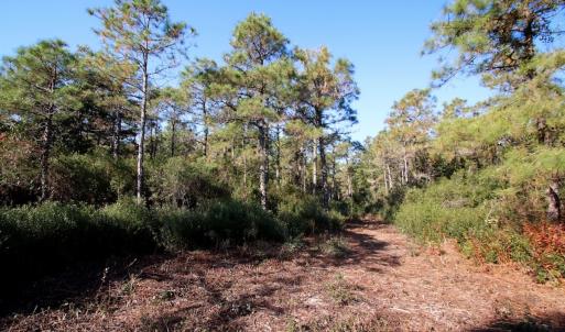 Photo #58 of Off Dunbar Canal Rd - Lot #44, Currituck, NC 60.0 acres