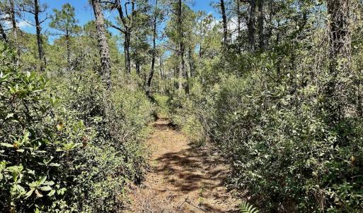 Photo #59 of SOLD property in Off Dunbar Canal Rd - Lot #44, Currituck, NC 60.0 acres