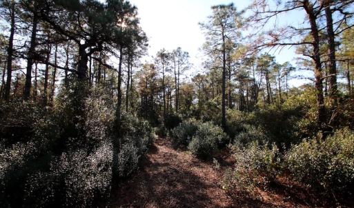 Photo #61 of Off Dunbar Canal Rd - Lot #44, Currituck, NC 60.0 acres