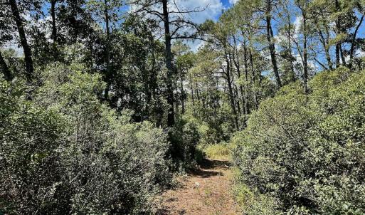 Photo #62 of SOLD property in Off Dunbar Canal Rd - Lot #44, Currituck, NC 60.0 acres