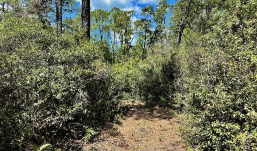 Photo #65 of SOLD property in Off Dunbar Canal Rd - Lot #44, Currituck, NC 60.0 acres