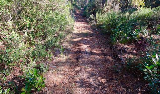 Photo #66 of Off Dunbar Canal Rd - Lot #44, Currituck, NC 60.0 acres