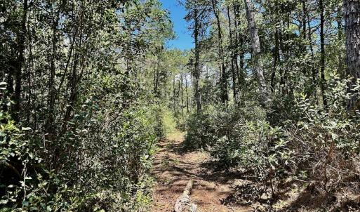 Photo #68 of SOLD property in Off Dunbar Canal Rd - Lot #44, Currituck, NC 60.0 acres