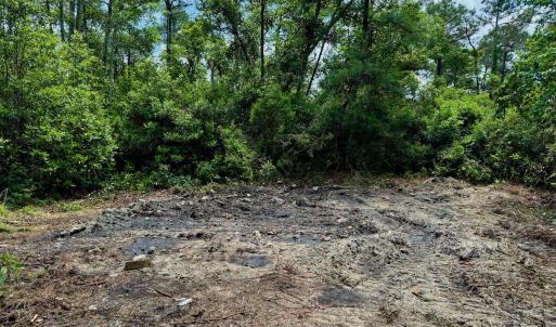 Photo #69 of Off Dunbar Canal Rd - Lot #44, Currituck, NC 60.0 acres