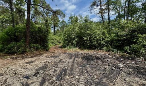 Photo #71 of Off Dunbar Canal Rd - Lot #44, Currituck, NC 60.0 acres