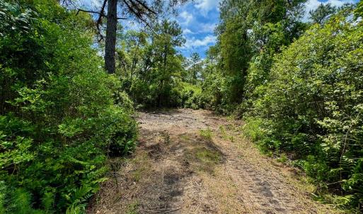 Photo #72 of SOLD property in Off Dunbar Canal Rd - Lot #44, Currituck, NC 60.0 acres