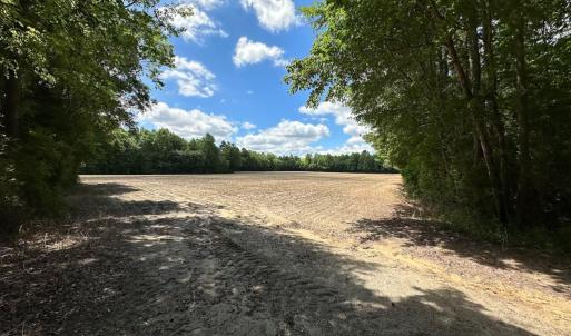 Photo #5 of Off Bobcat Ln, Franklin, VA 55.0 acres