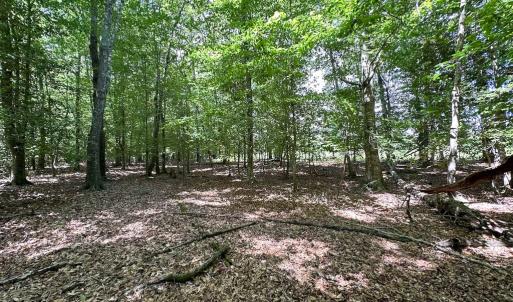 Photo #25 of Off Bobcat Ln, Franklin, VA 55.0 acres