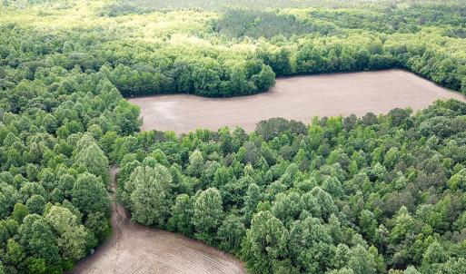 Photo #26 of Off Bobcat Ln, Franklin, VA 55.0 acres