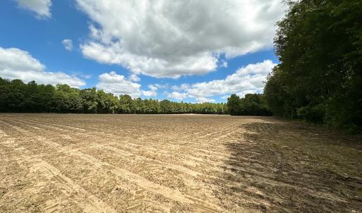 Photo #36 of Off Bobcat Ln, Franklin, VA 55.0 acres