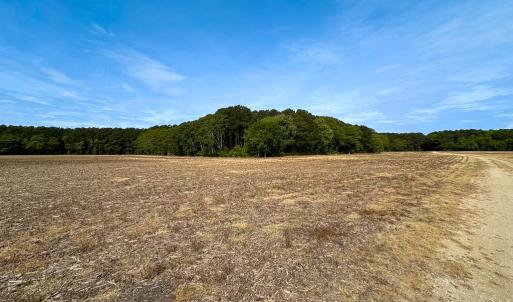 Photo #3 of Off Kegotank Rd, Nelsonia, VA 93.0 acres