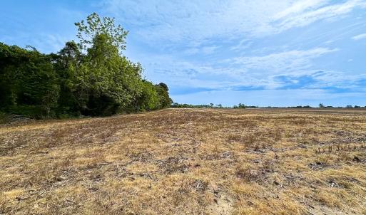 Photo #9 of Off Kegotank Rd, Nelsonia, VA 93.0 acres