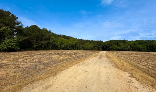 Photo #15 of Off Kegotank Rd, Nelsonia, VA 93.0 acres