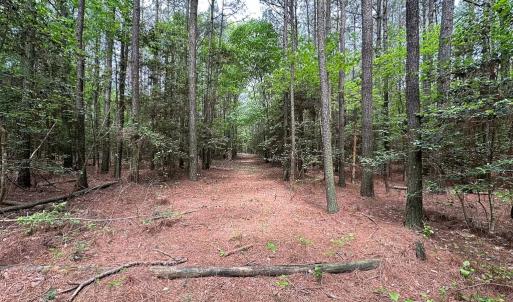 Photo #16 of Off Kegotank Rd, Nelsonia, VA 93.0 acres