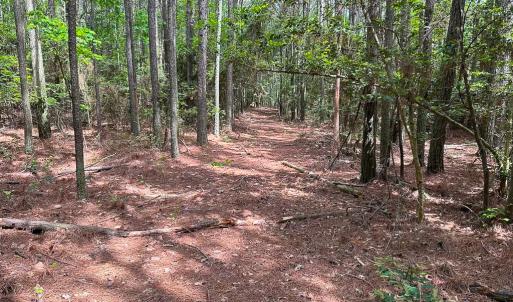 Photo #18 of Off Kegotank Rd, Nelsonia, VA 93.0 acres