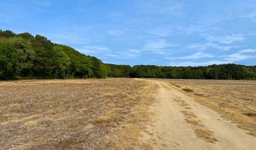 Photo #19 of Off Kegotank Rd, Nelsonia, VA 93.0 acres