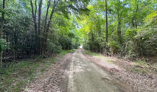 Photo #20 of Off Kegotank Rd, Nelsonia, VA 93.0 acres