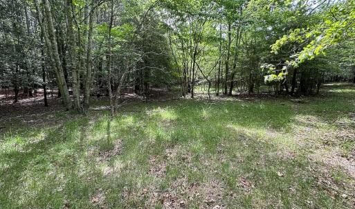 Photo #22 of Off Kegotank Rd, Nelsonia, VA 93.0 acres