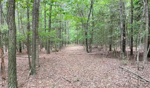 Photo #26 of Off Kegotank Rd, Nelsonia, VA 93.0 acres