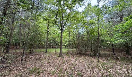 Photo #36 of Off Kegotank Rd, Nelsonia, VA 93.0 acres