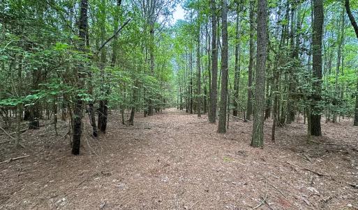 Photo #37 of Off Kegotank Rd, Nelsonia, VA 93.0 acres