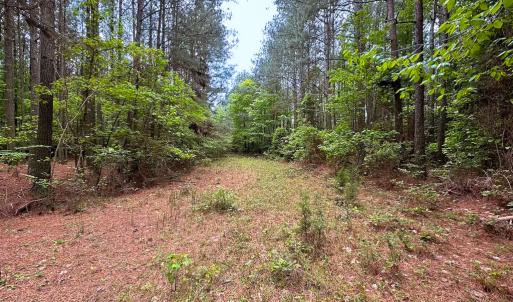 Photo #39 of Off Kegotank Rd, Nelsonia, VA 93.0 acres