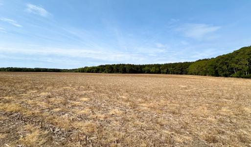 Photo #5 of Off Kegotank Rd, Nelsonia, VA 195.0 acres