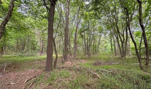 Photo #6 of Off Kegotank Rd, Nelsonia, VA 195.0 acres