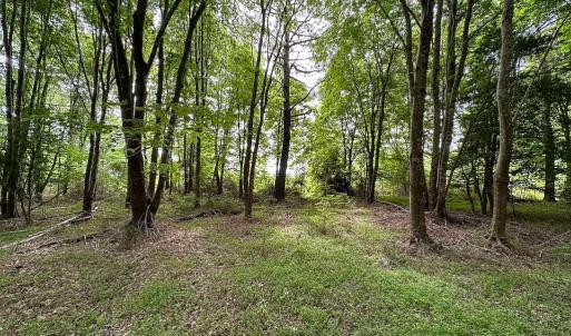 Photo #10 of Off Kegotank Rd, Nelsonia, VA 195.0 acres