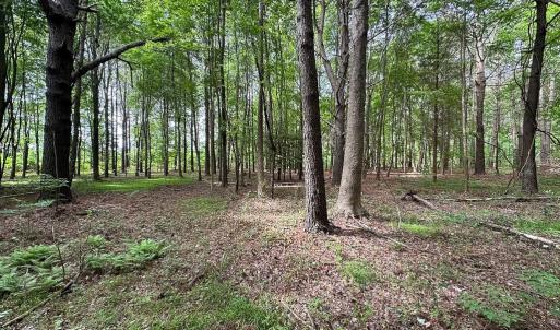 Photo #17 of Off Kegotank Rd, Nelsonia, VA 195.0 acres