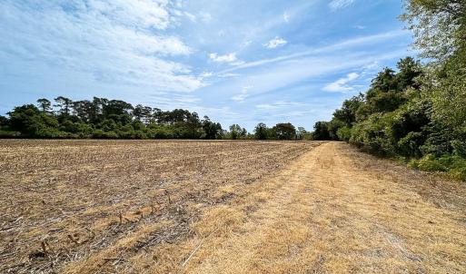 Photo #34 of Off Kegotank Rd, Nelsonia, VA 195.0 acres