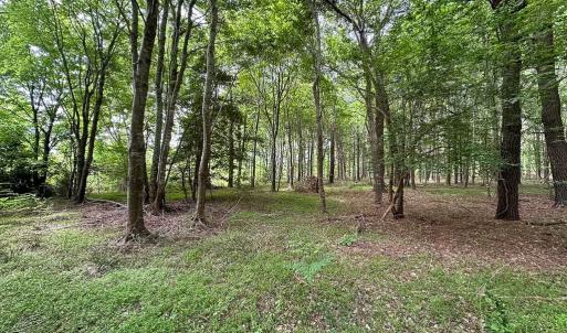 Photo #36 of Off Kegotank Rd, Nelsonia, VA 195.0 acres