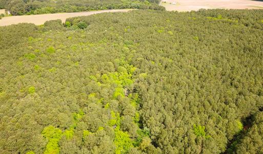 Photo #3 of Off Kegotank Rd, Nelsonia, VA 10.5 acres