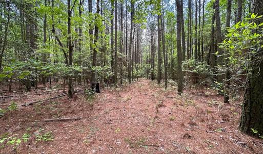 Photo #4 of Off Kegotank Rd, Nelsonia, VA 10.5 acres