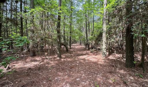 Photo #5 of Off Kegotank Rd, Nelsonia, VA 10.5 acres