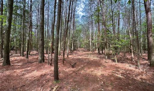 Photo #7 of Off Kegotank Rd, Nelsonia, VA 10.5 acres