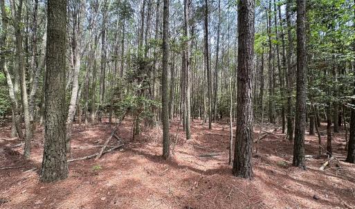 Photo #9 of Off Kegotank Rd, Nelsonia, VA 10.5 acres