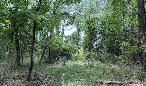 Photo #11 of Off Kegotank Rd, Nelsonia, VA 10.5 acres