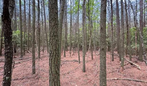 Photo #13 of Off Kegotank Rd, Nelsonia, VA 10.5 acres