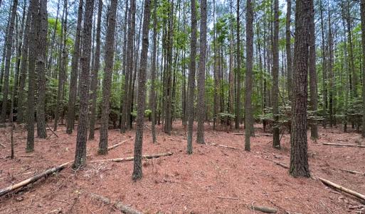 Photo #16 of Off Kegotank Rd, Nelsonia, VA 10.5 acres