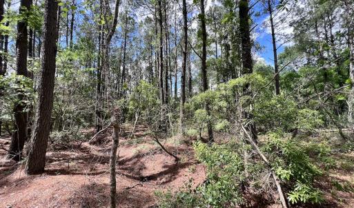 Photo #35 of Off NC 304, Hobucken, NC 9.0 acres