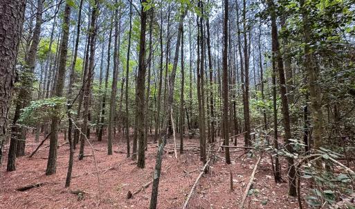 Photo #6 of Lot 7 - Off Kegotank Rd, Nelsonia, VA 1.7 acres