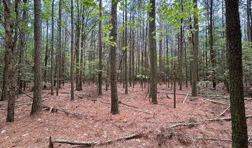 Photo #7 of Lot 8 - Off Kegotank Rd, Nelsonia, VA 1.7 acres