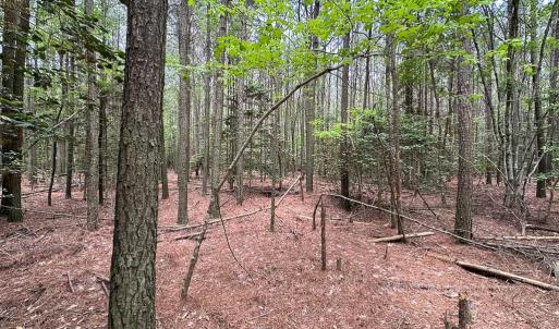 Photo #8 of Lot 8 - Off Kegotank Rd, Nelsonia, VA 1.7 acres